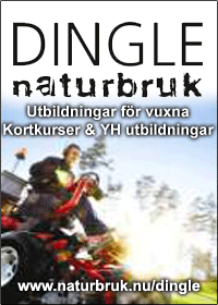 Dingle Naturbruk