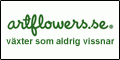 artflowers.se