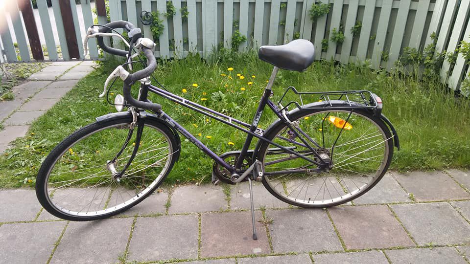 Damcykel Rex 28 Tum
