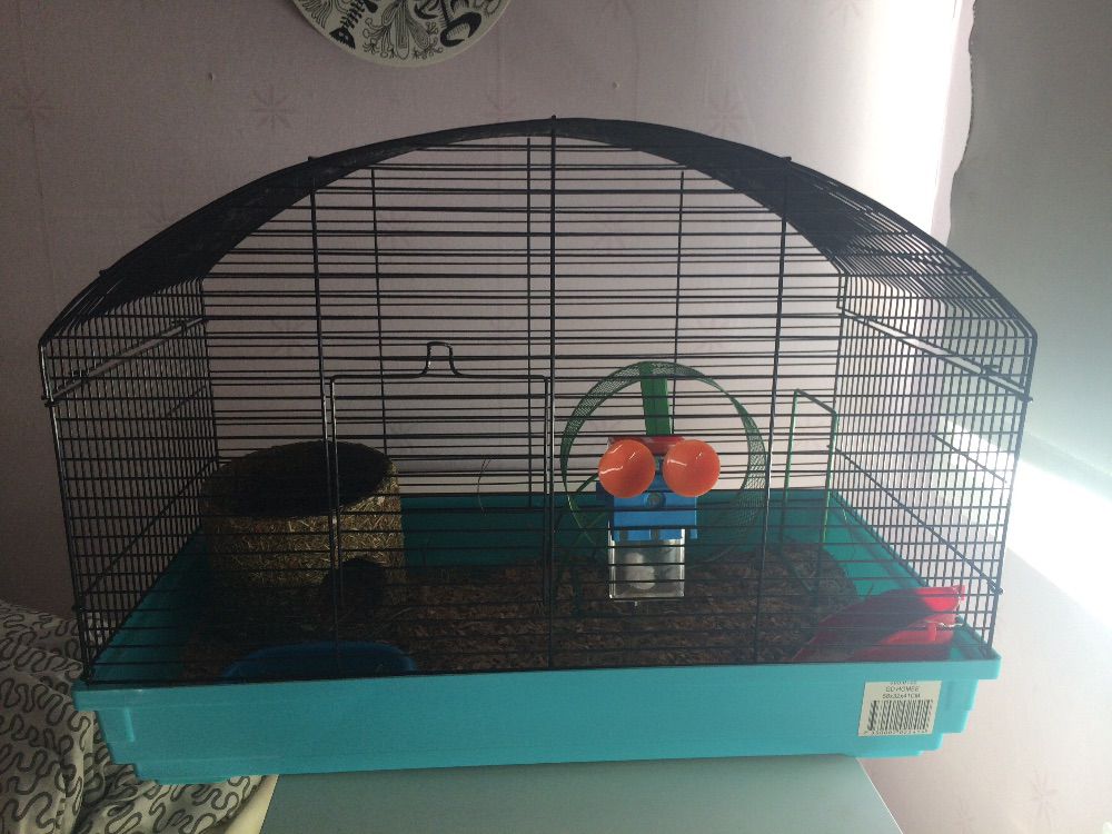 Hamster bur