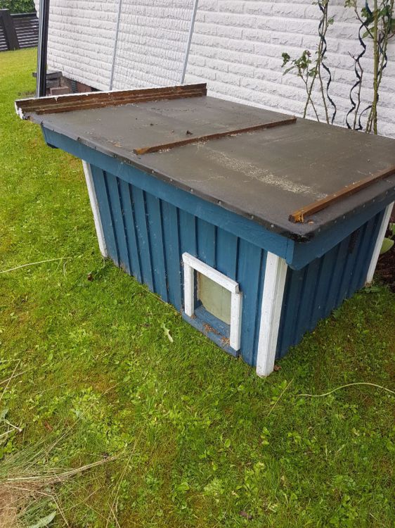 Hundkoja, isolerad samt element