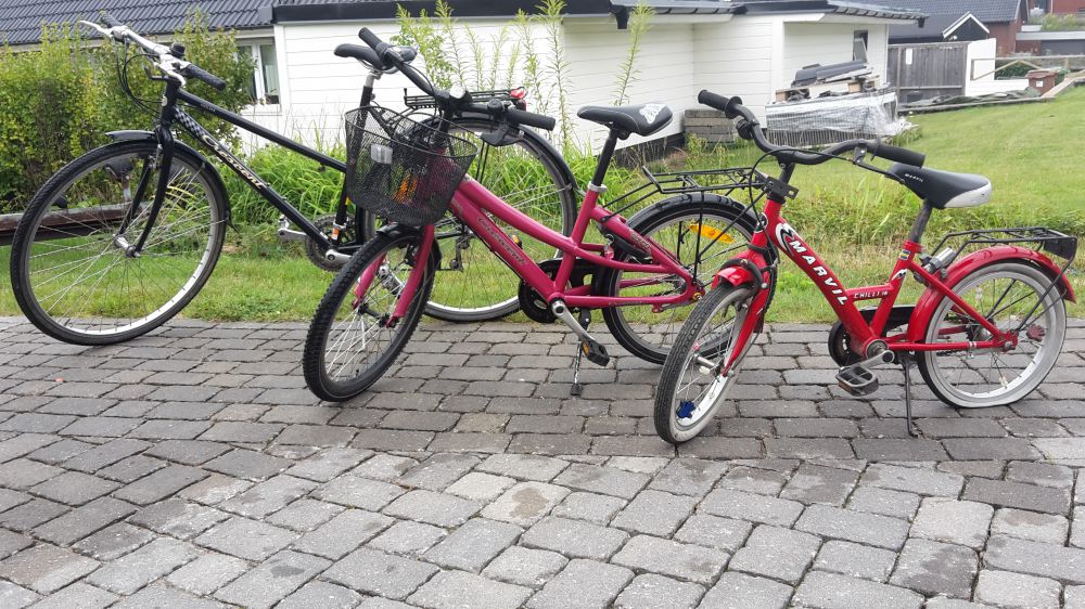 Dam- och flickcyklar, 28, 20 samt 16 tum