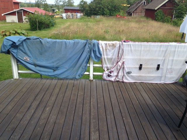 Flugtäcken till häst