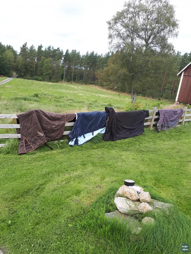 Begagnade hästtäcken 4st