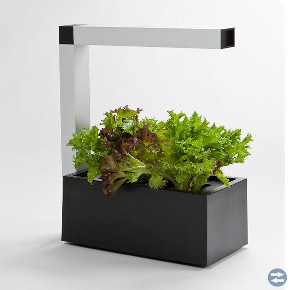HERBIE Indoor Garden svart
