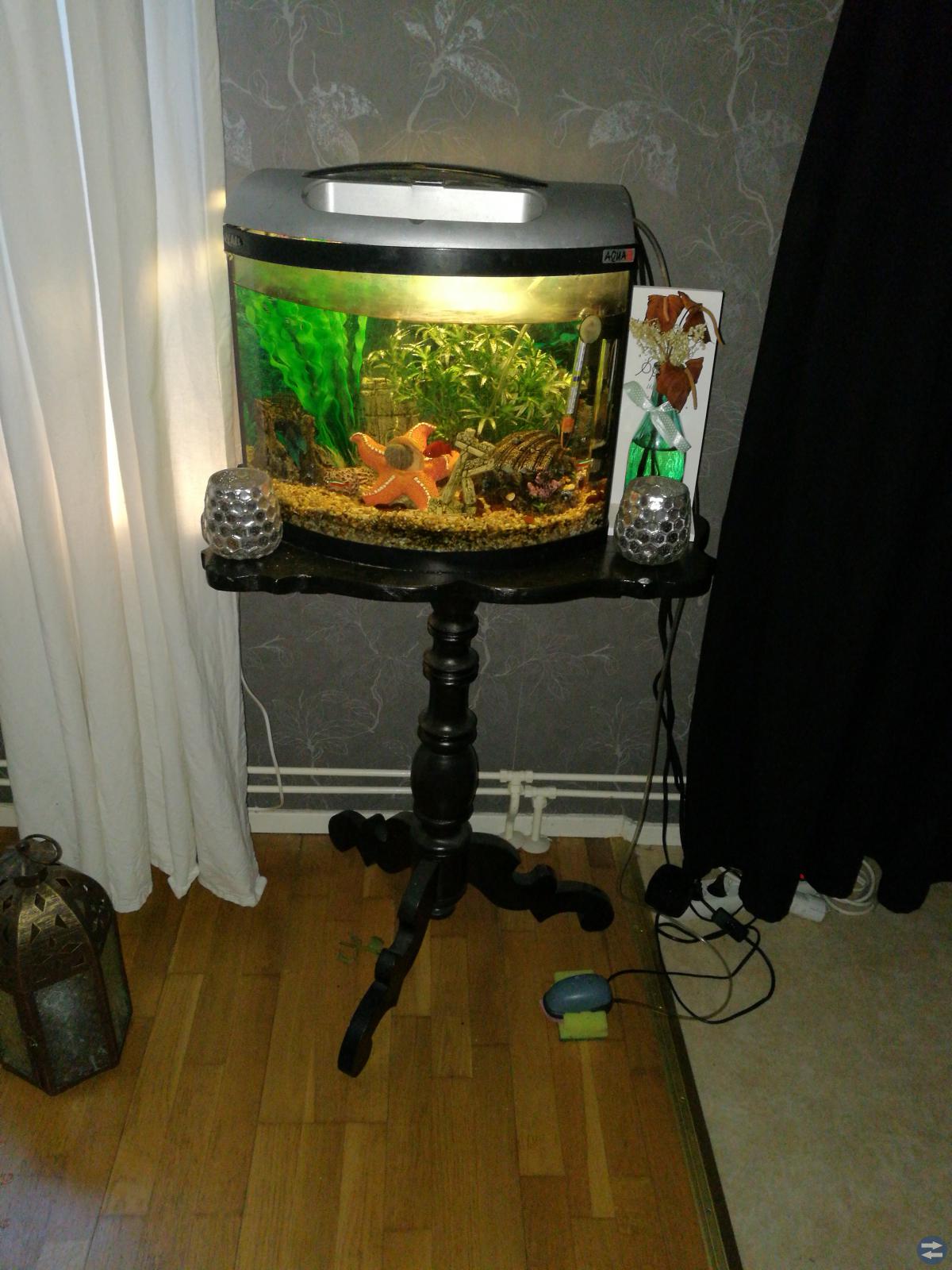 Akvariumefiskar