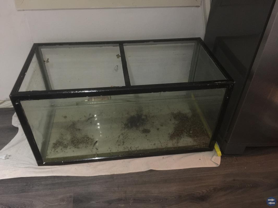 Akvarium