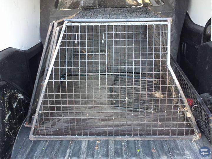 Hund-Transportbur modell större