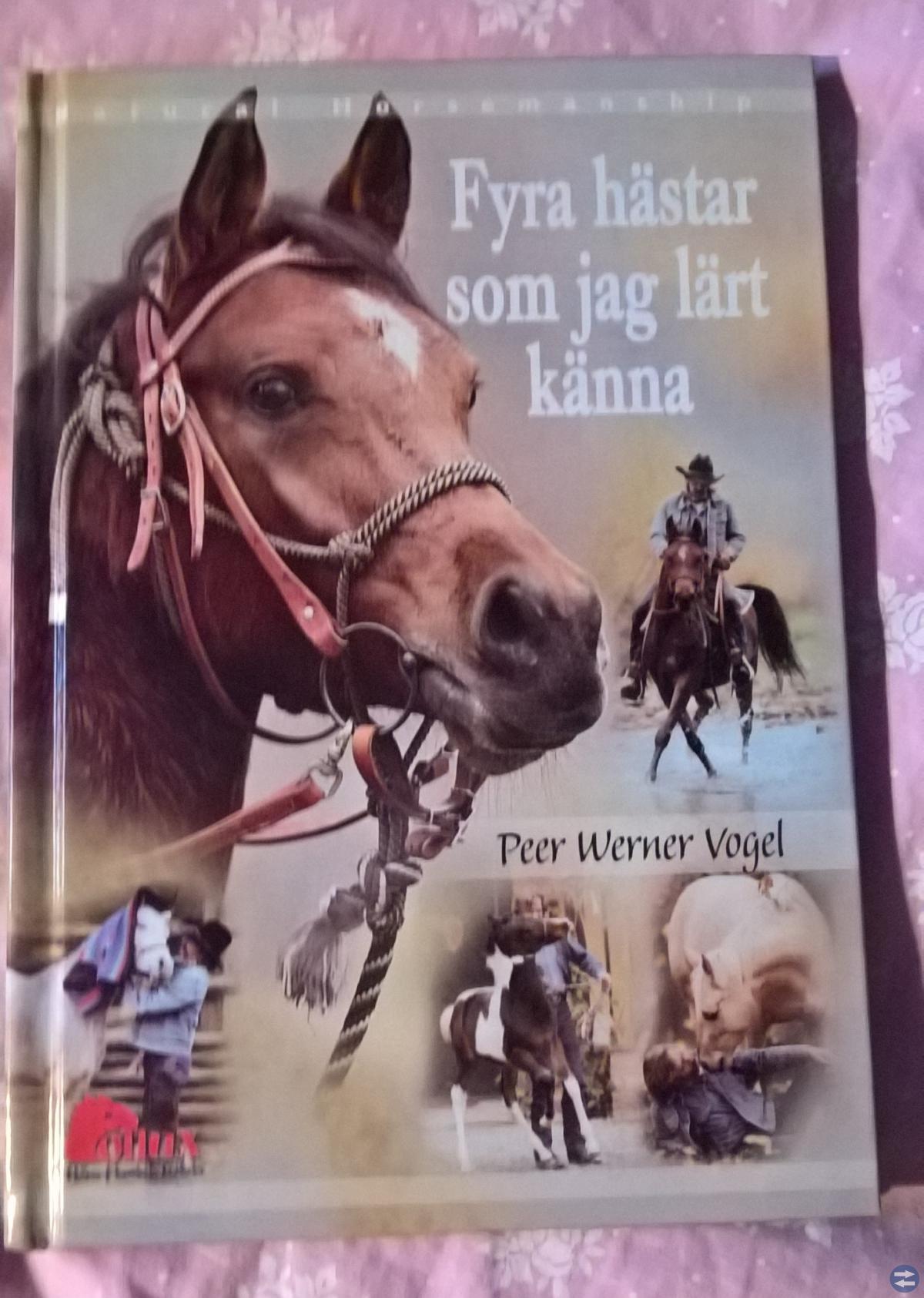 Fyra hästar som jag lärt känna