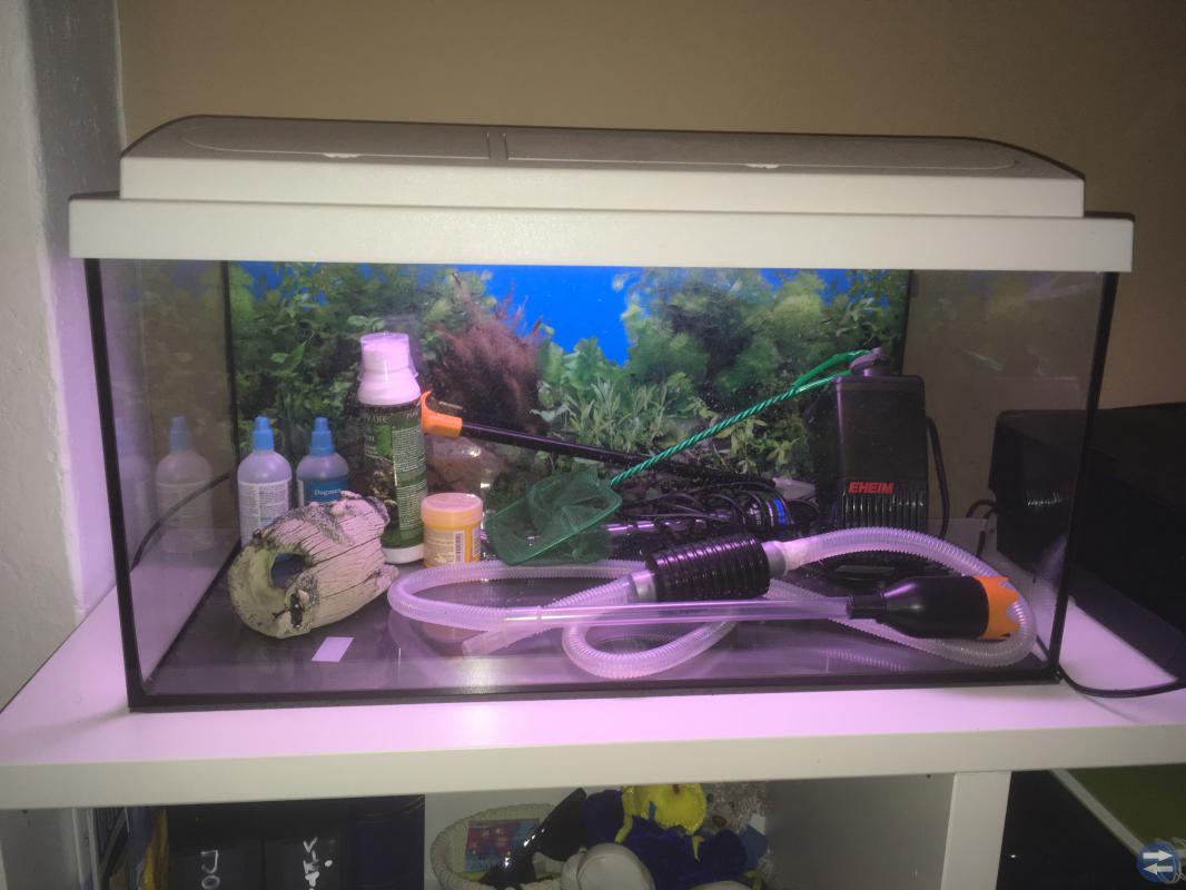 Akvarie 63 liter komplett