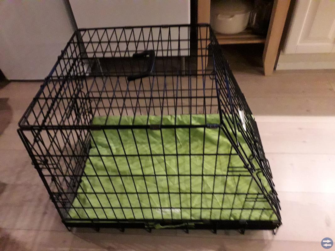 Hundbur!