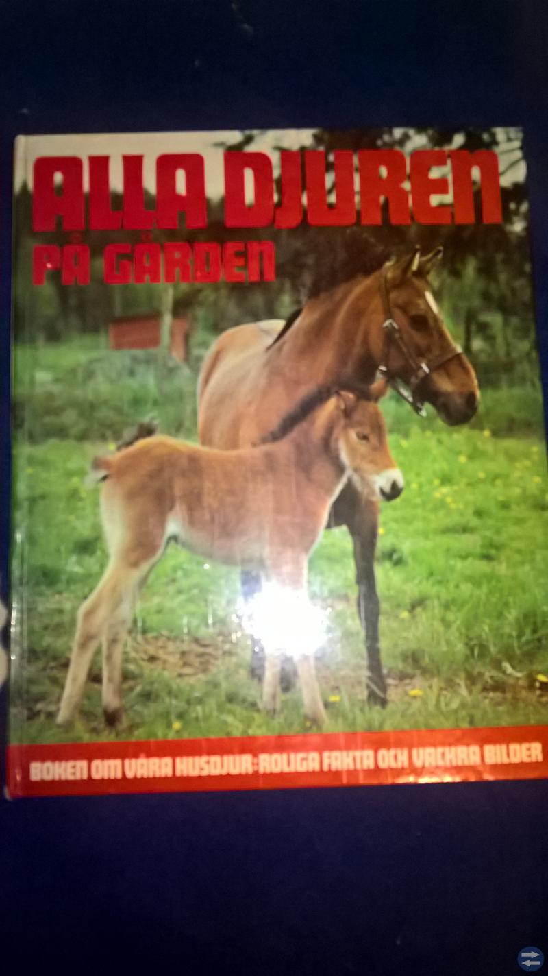 Alla djuren på gården