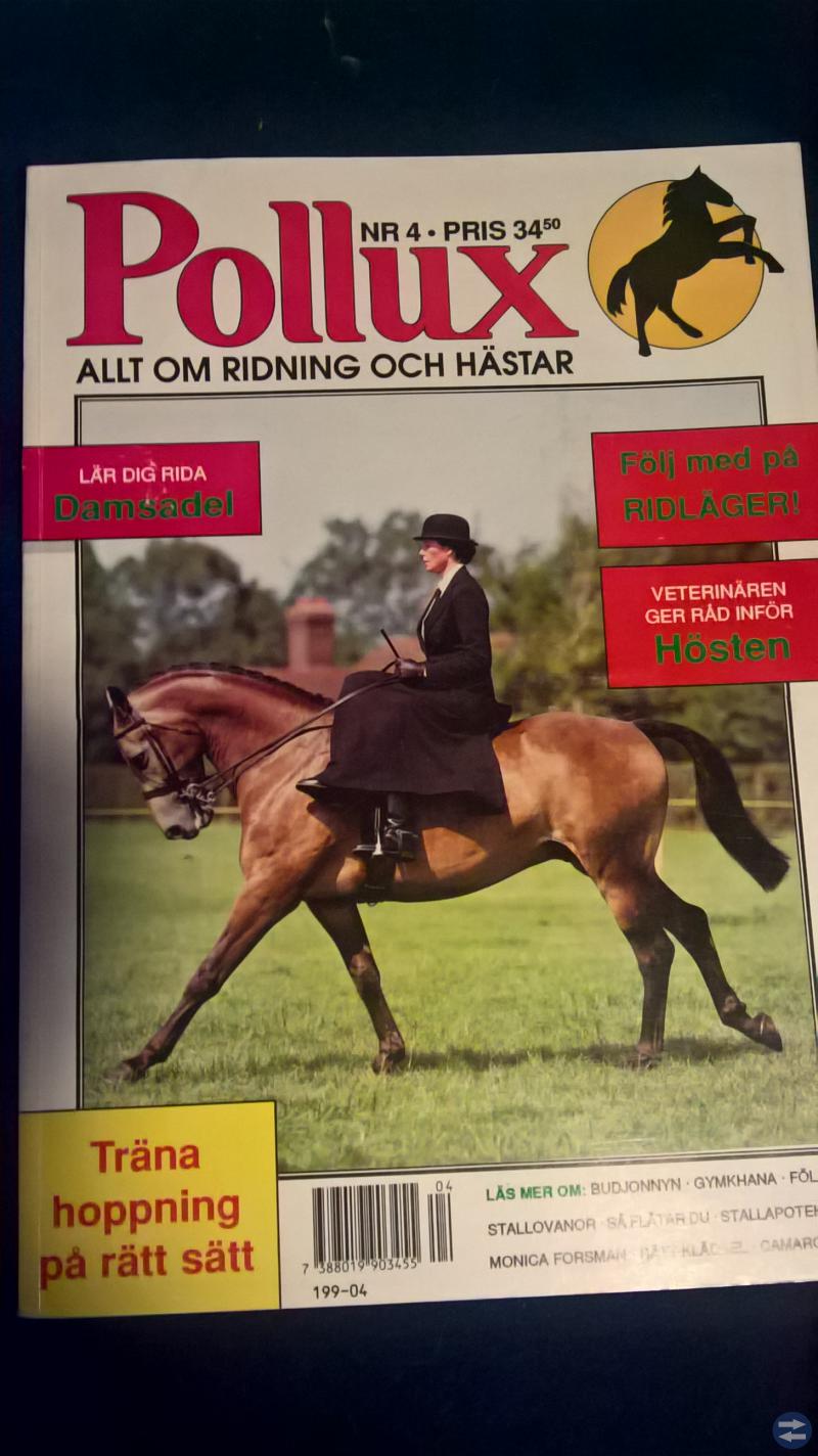 Allt om hästar och ridning