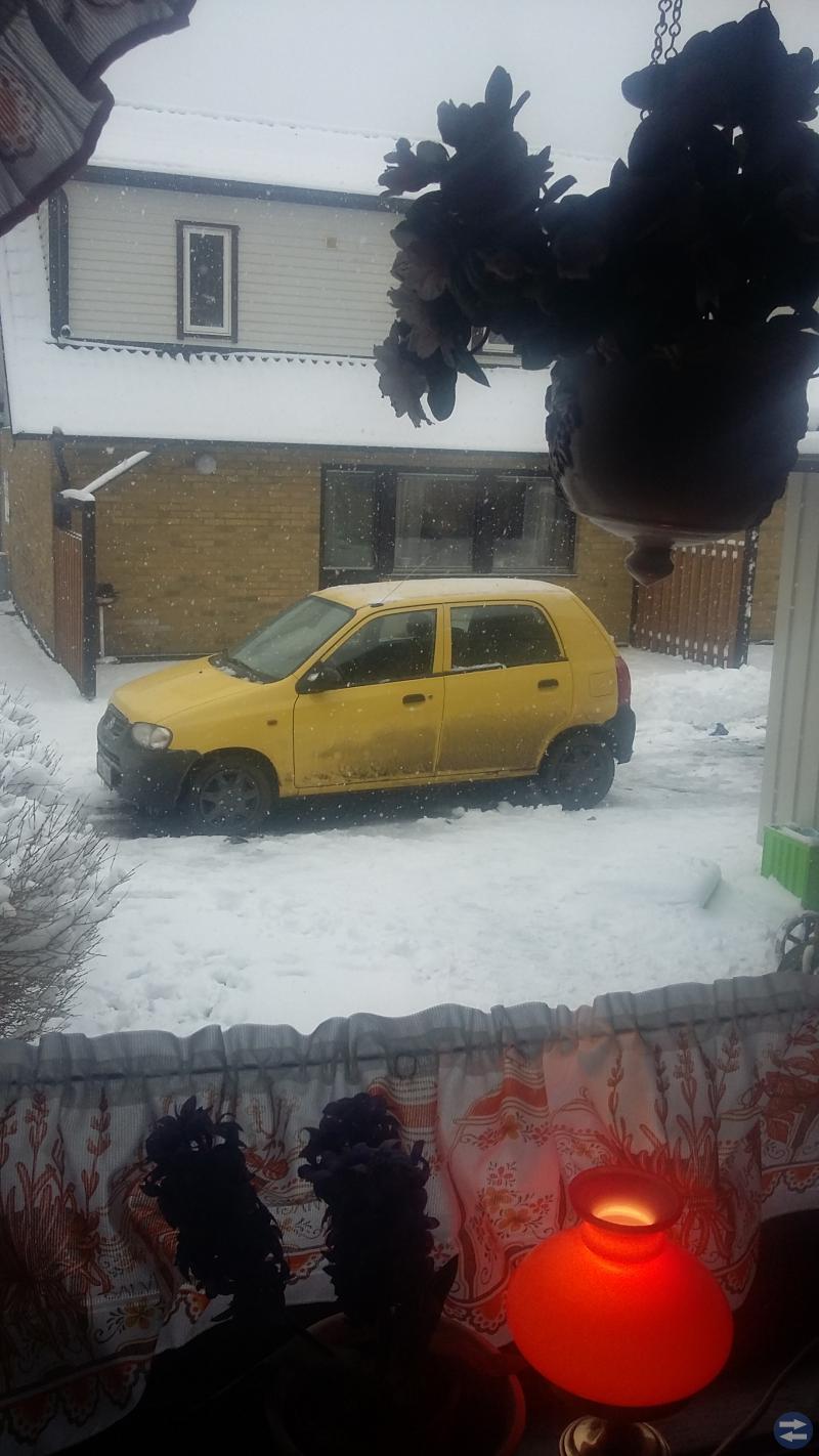 Suzuki alto gärna byte