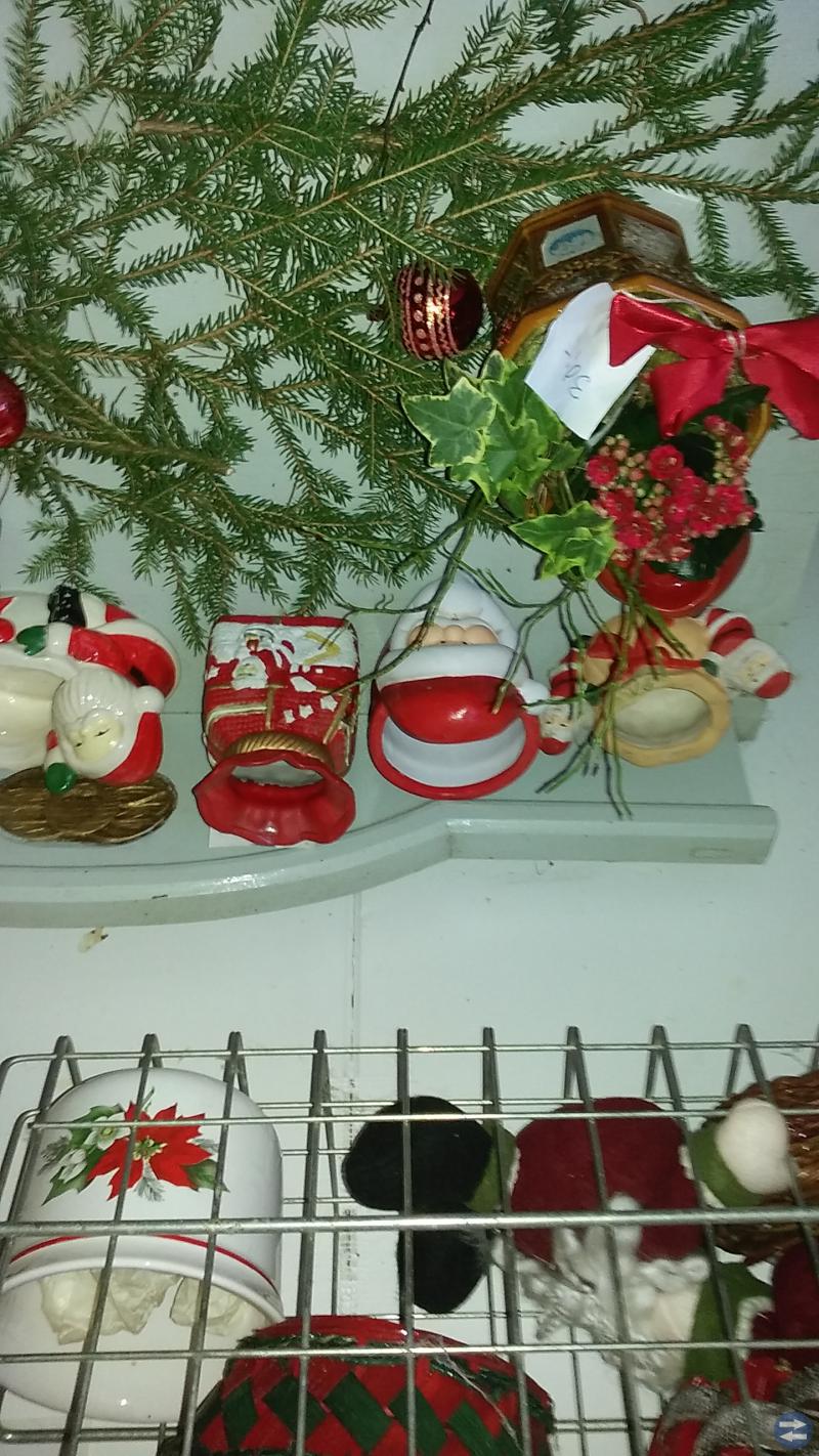 Julloppis