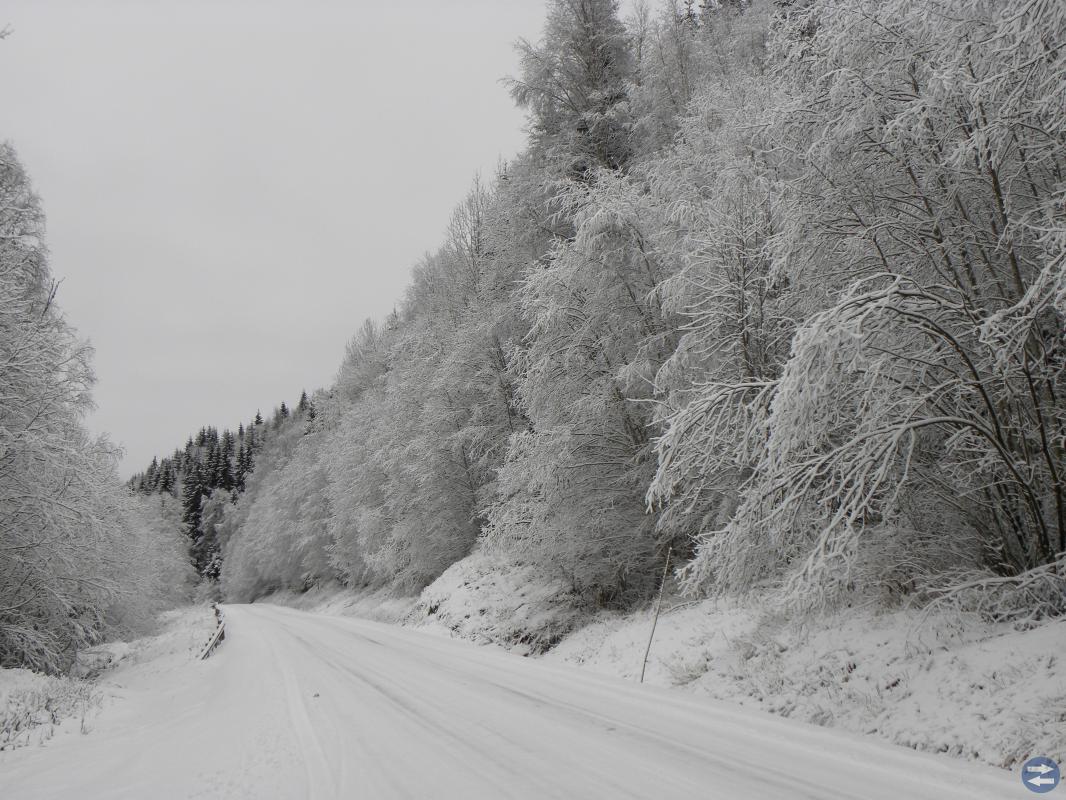 Fira en VIT JUL i Värmland, skidåkning i BRANÄS