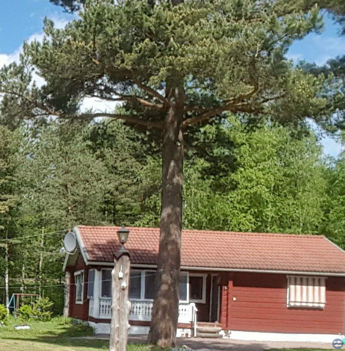 Timmerhus uthyres Sommaren-2018