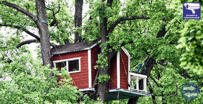 Bostad Kalmar, Nybro