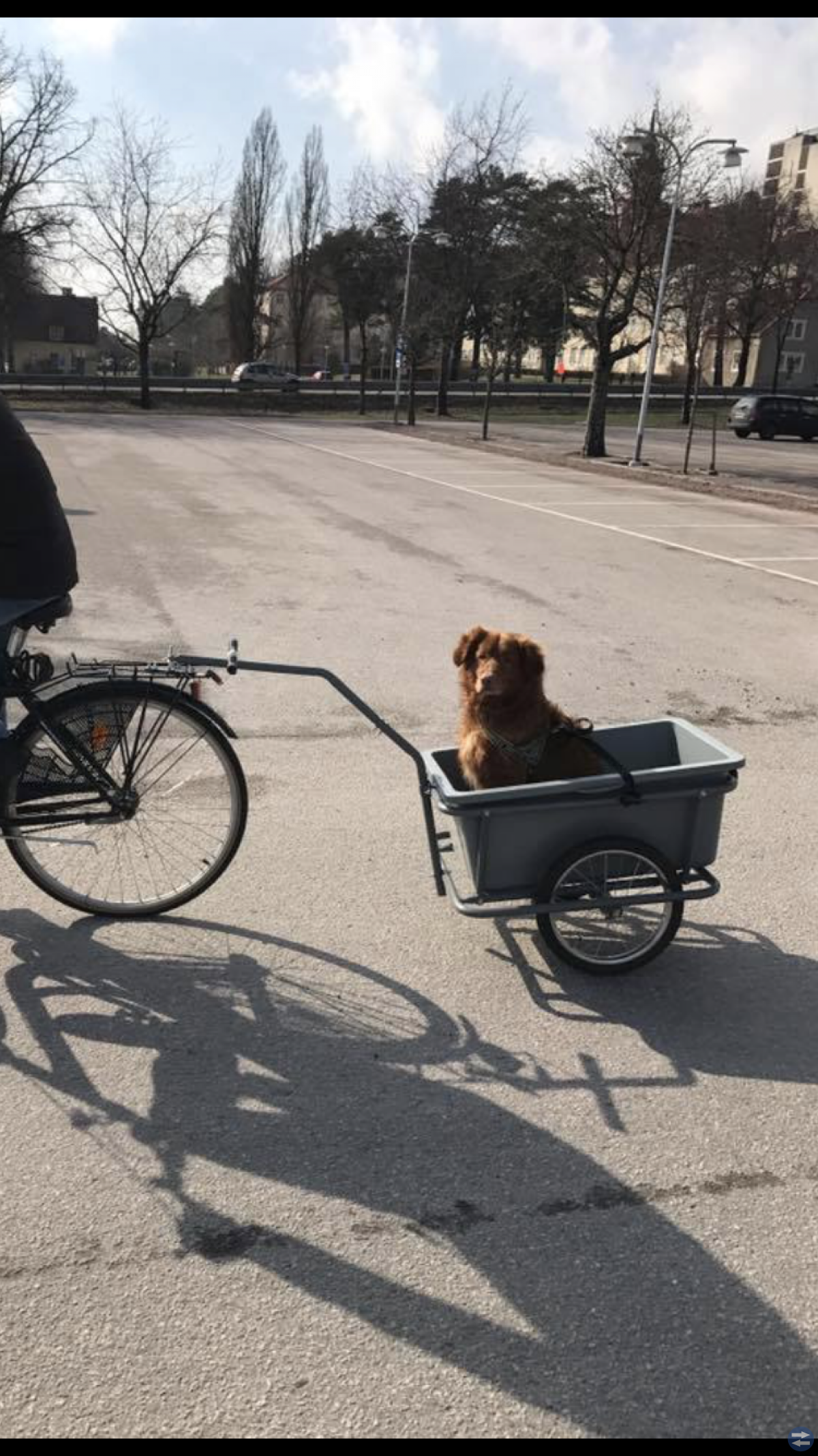 Cykelkärra