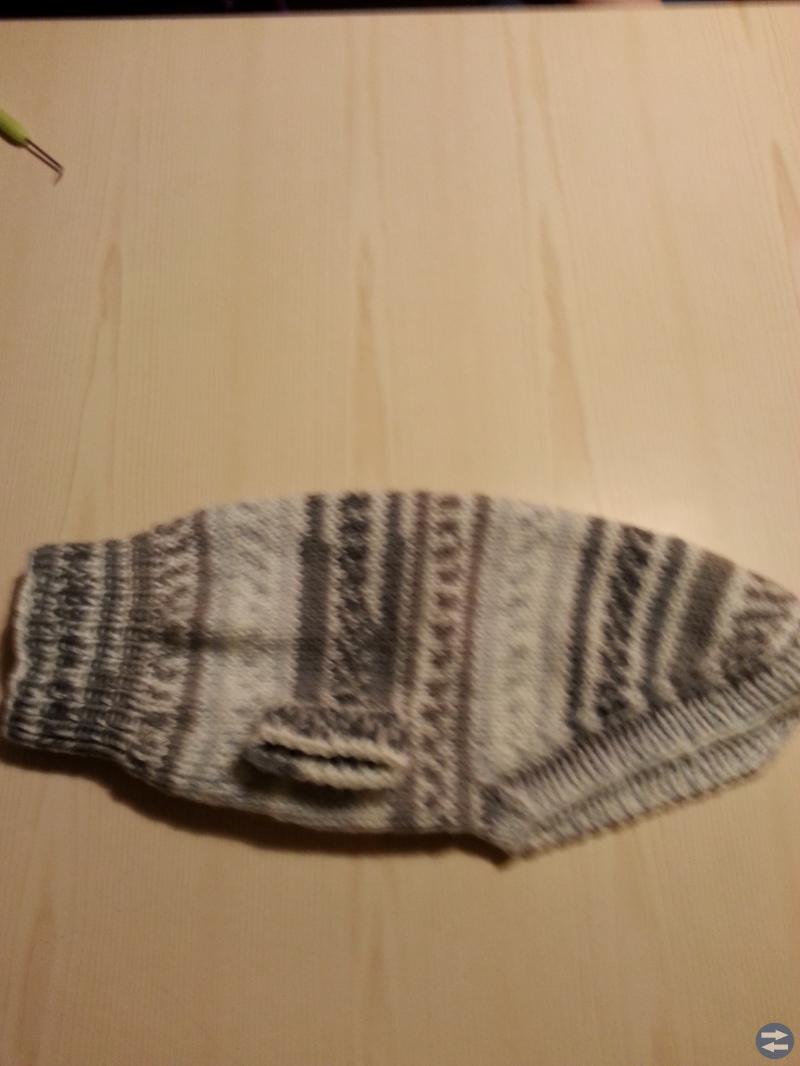 Tröja till hund