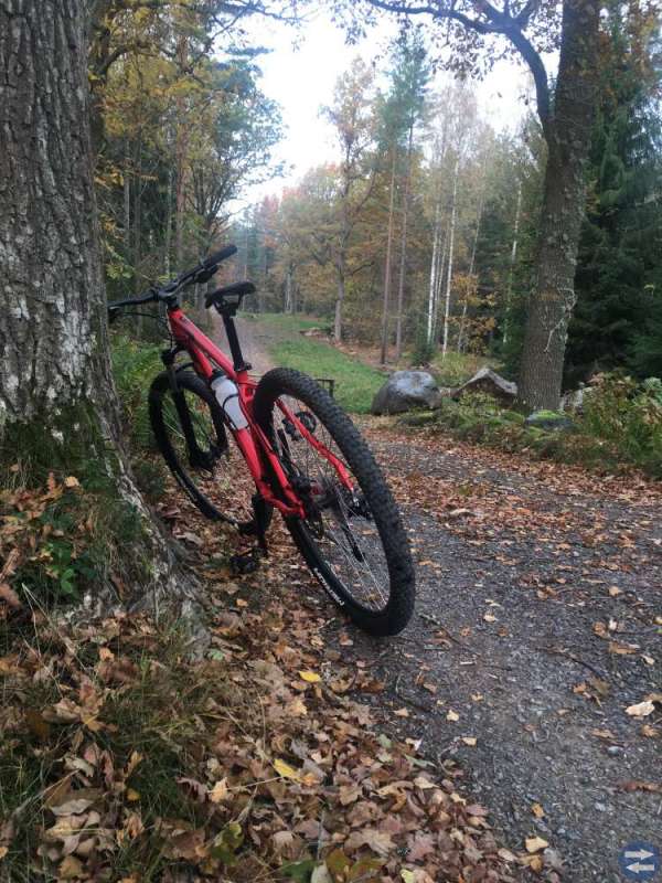 29” mtb
