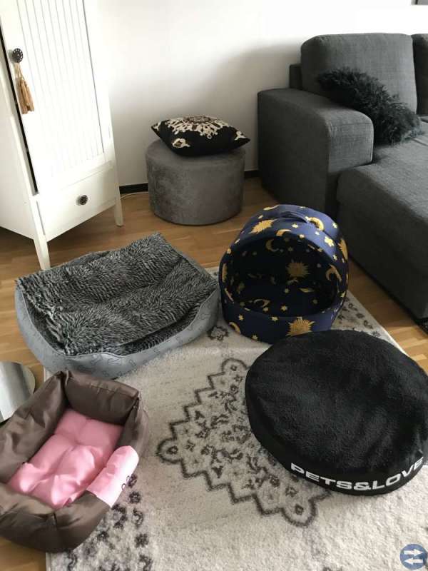 Djurbäddar