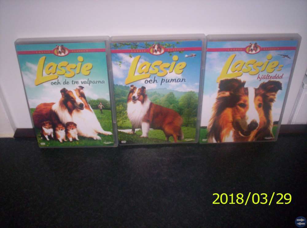 Lassie