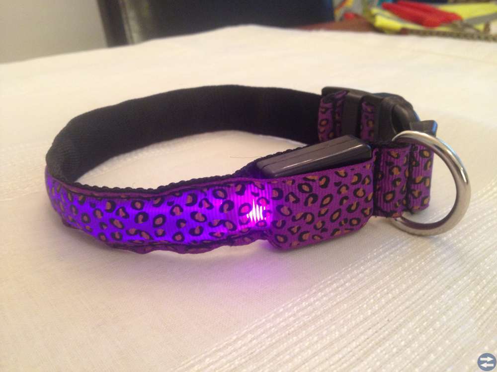 Nytt Halsband till hunden