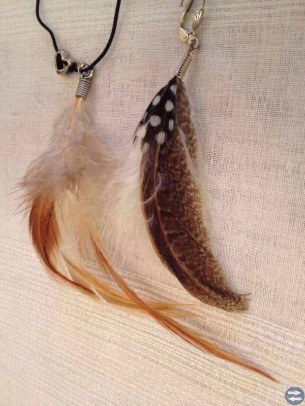 Halsband och 1 örhänge