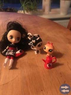 Little pet shop