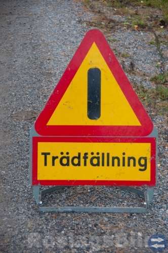 Trädfällning och Stubbfräsning