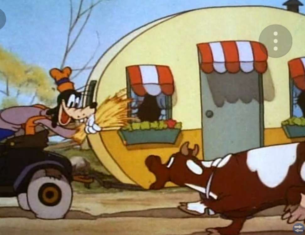 HUSVAGN KÖPES OMGÅENDE, även fuktskadad etc