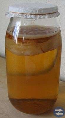 Te svamp -Kombucha (läs om på Internet)