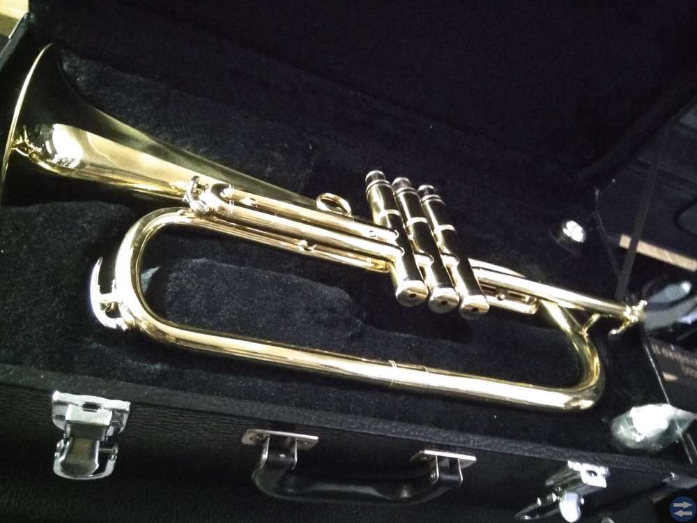 Flygelhorn 2500kr