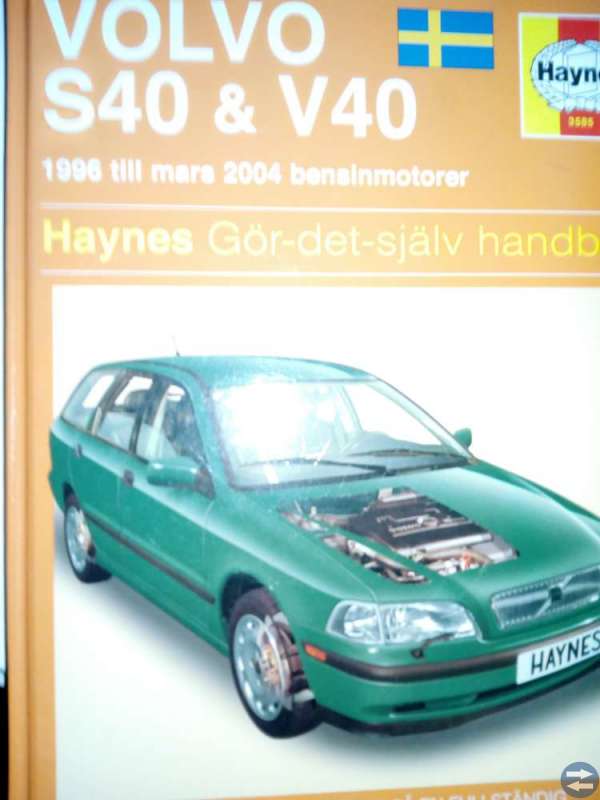 Haynes
