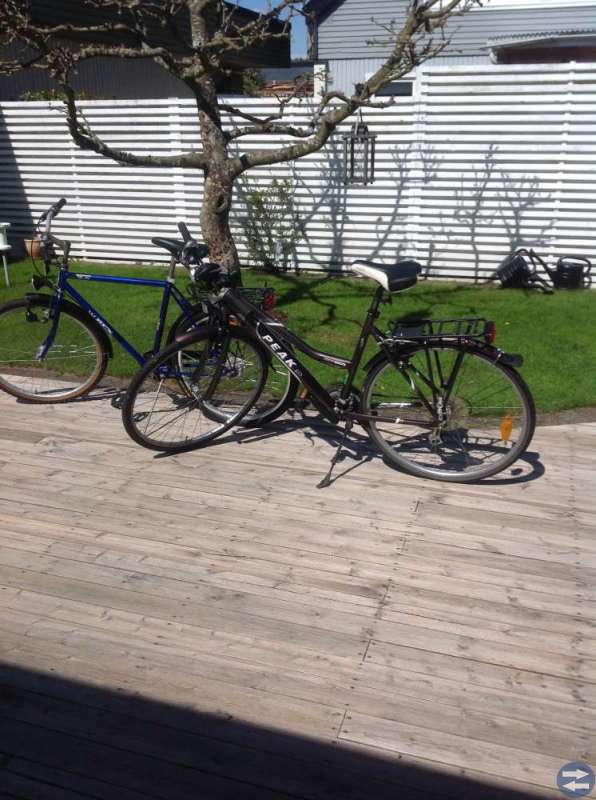 Dam och herrcykel