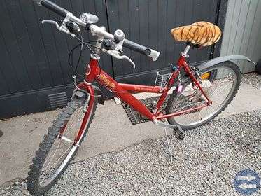 Mountainbike