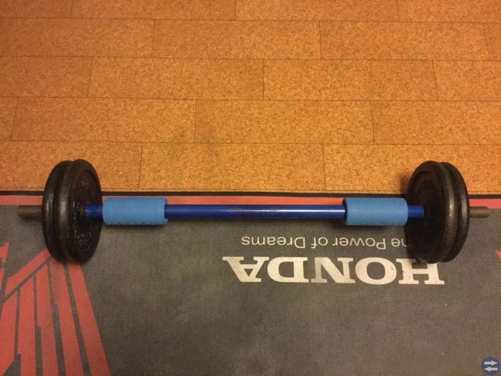 Skivstång