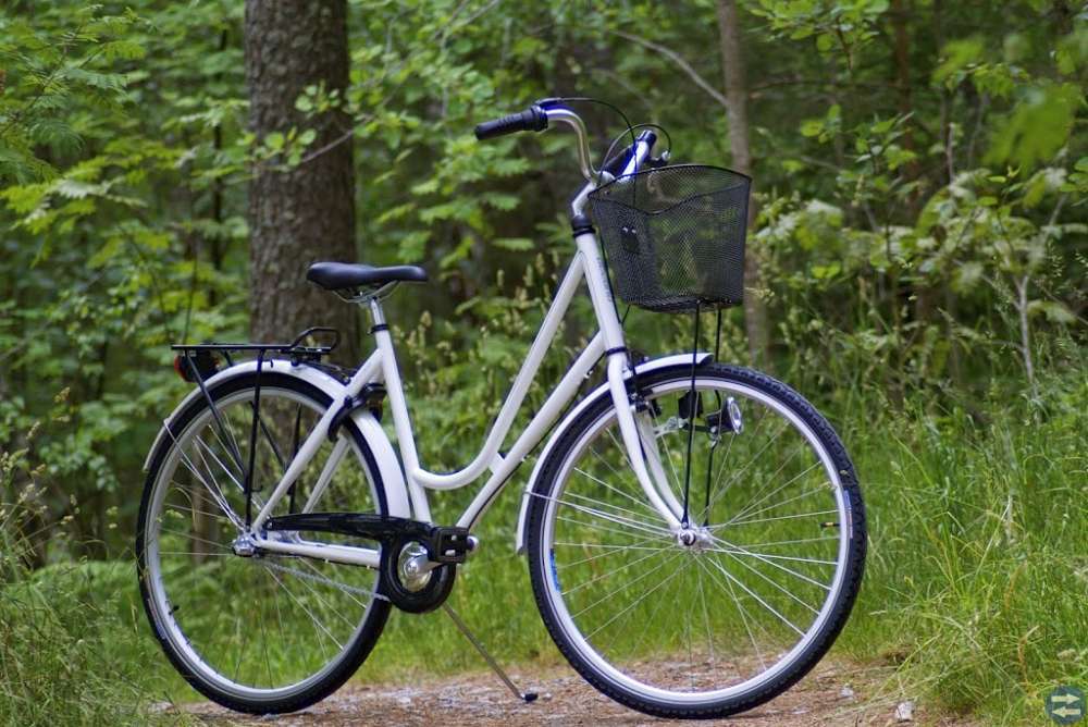 Fin damcykel med 3 växlar