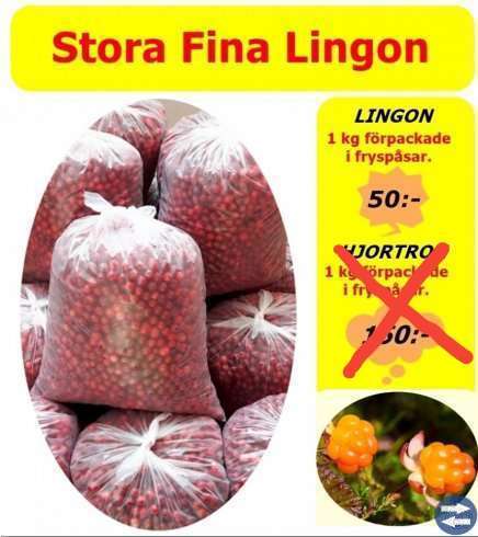 Fina Lingon 50 kr/kg.