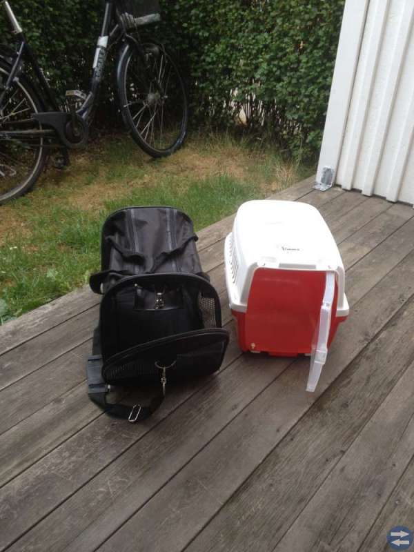 Transportkorgar - katt