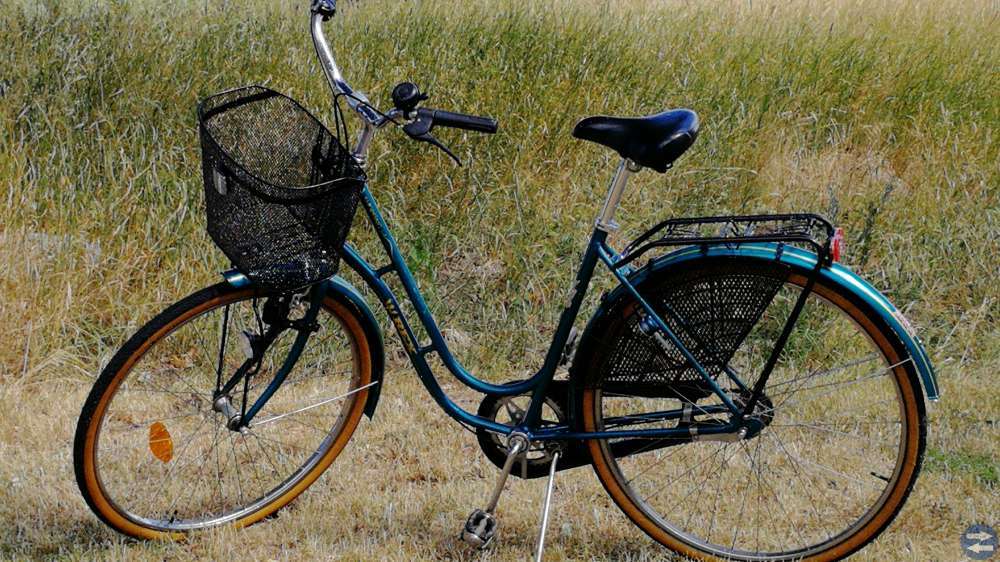 Välvårdad Rex Damcykel 28