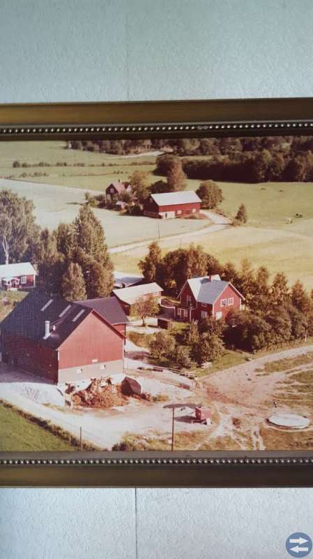 Jordbruksfastighet Järbo