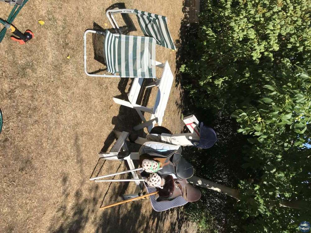 Trähäst med sadel, bord, 2 solstolar