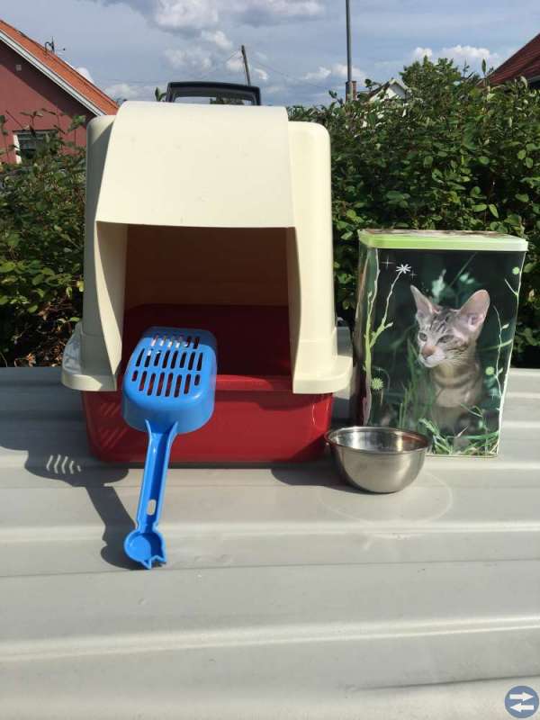 Kattlåda