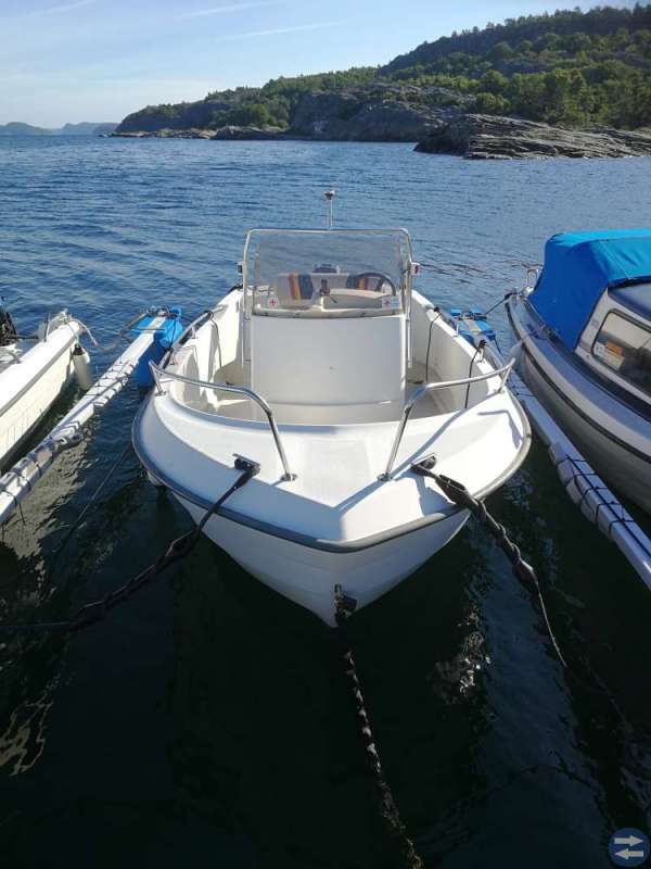 Ryds485dli + 40 hk 2-takts motor