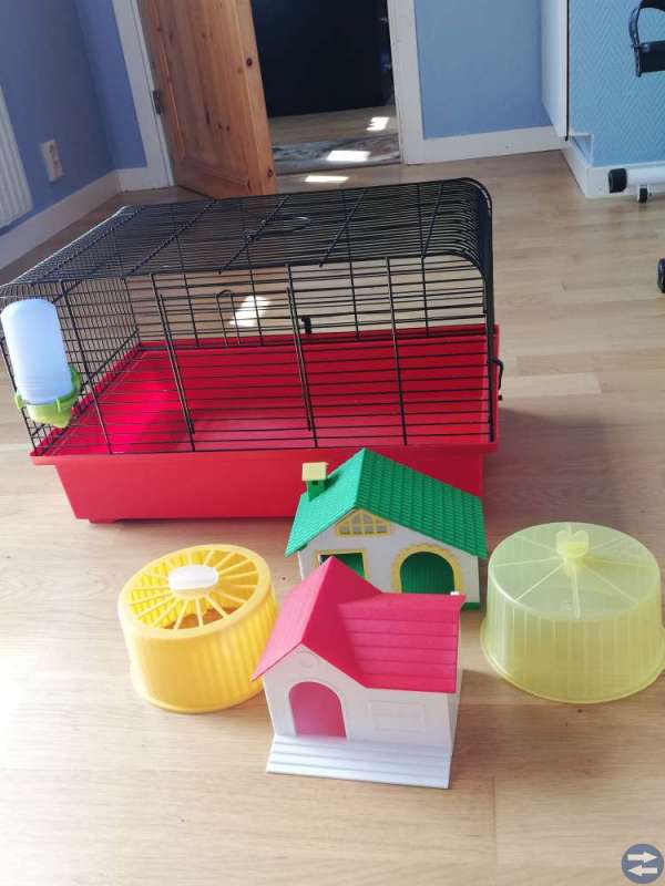 Fin hamsterbur