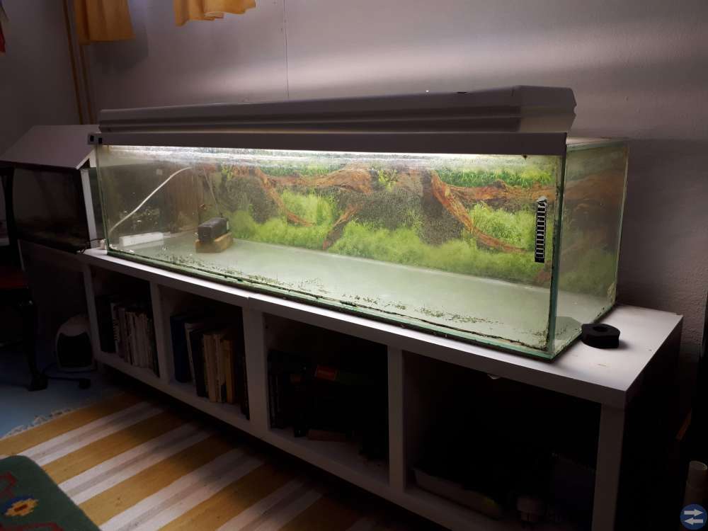 Akvarium