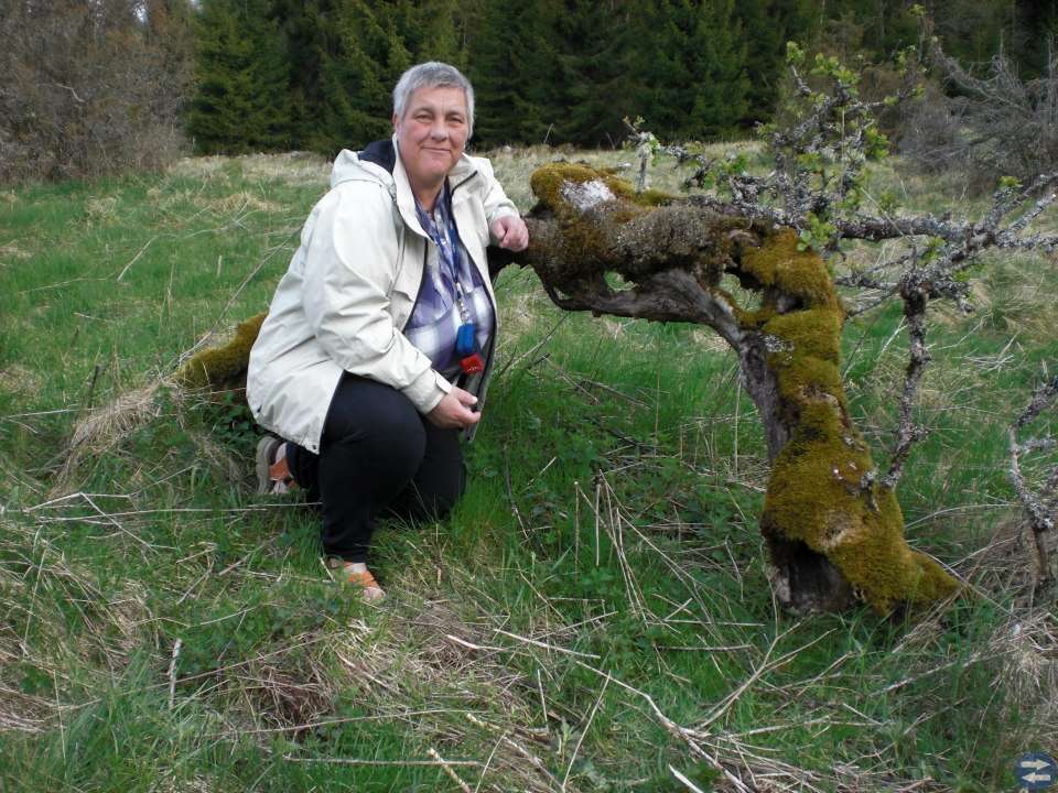 BOSTAD ÖNSKAS TILL KVINNLIG FÖRTIDSPENSIONÄR