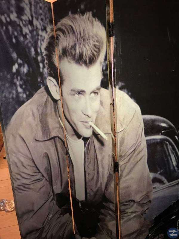 Unik skärmvägg med James Dean-motiv!